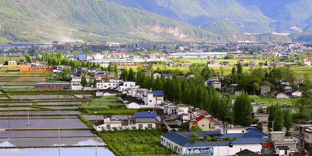 糧食生產總體順利 鄉村振興加快推進